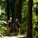 Self-Guided Queen Charlotte Track Walk from Picton