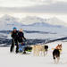 Tromso Husky Sled Tour