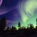 Northern Lights Viewing Tour