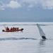 zodiac-whale-watching-marine-wildlife-excursion-from-victoria-in-victoria-495092