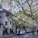 Private Walking Tour: Xintiandi and Hengshan Road in Shanghai