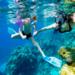 Group Tour to Best Snorkeling in Taba Egypt