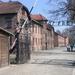 Excursión de día completo a Auschwitz y Birkenau desde Cracovia con traslado privado