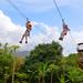 El Yunque Rainforest Ziplining and Hiking