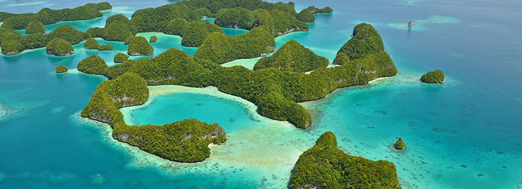 Palau Tours, Tickets, Activities & Things To Do – things to do