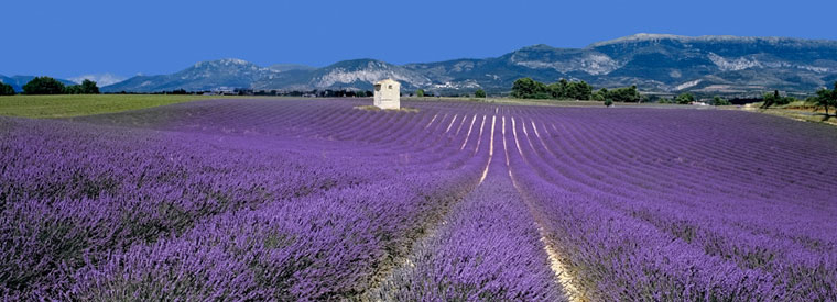 PROVENCE, South of France