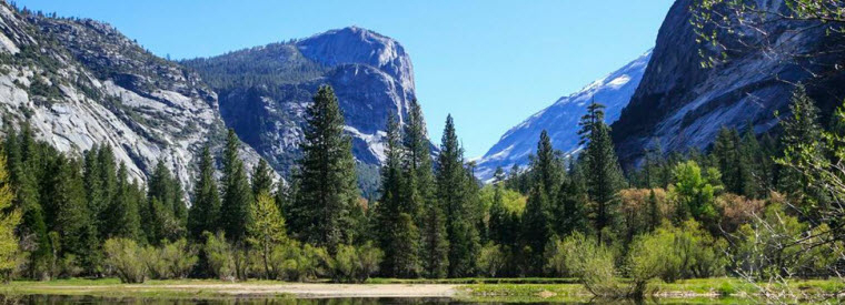 Yosemite National Park Tours, California